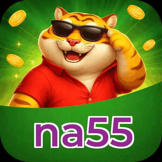 FAQ Como Ganhar na55